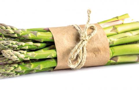 Fotolia_145166122_M
